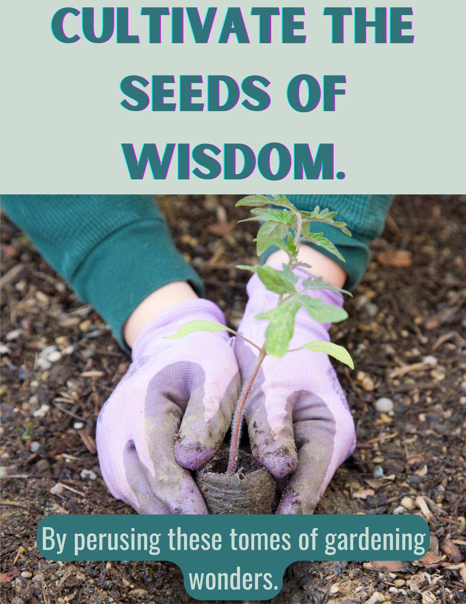 Grow seeds of knowledge - Copy